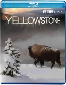 BBC Earth - Yellowstone (UK) voor de Blu-ray kopen op nedgame.nl