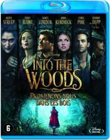 Into the Woods voor de Blu-ray kopen op nedgame.nl