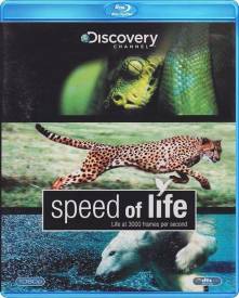 Speed of Life voor de Blu-ray kopen op nedgame.nl