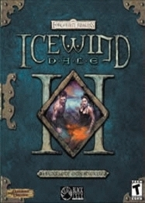 Image of Icewind Dale 2