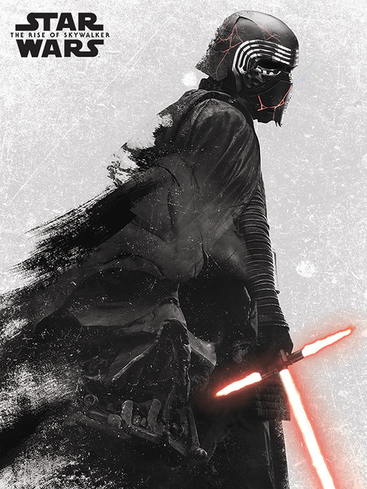 Star Wars the Rise of Skywalker Canvas - Kylo Ren and Vader (40x30cm)