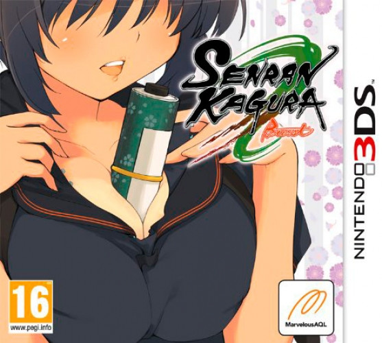 Senran Kagura Burst /3DS