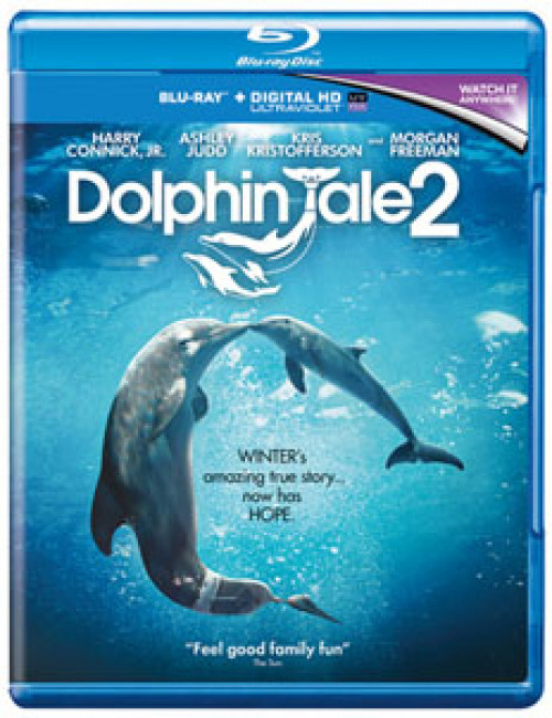 Dolphin Tale 2