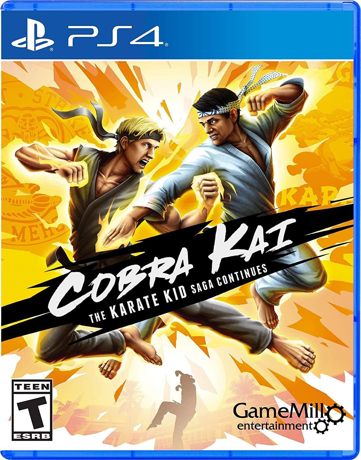 Cobra Kai the Karate Kid Saga Continues
