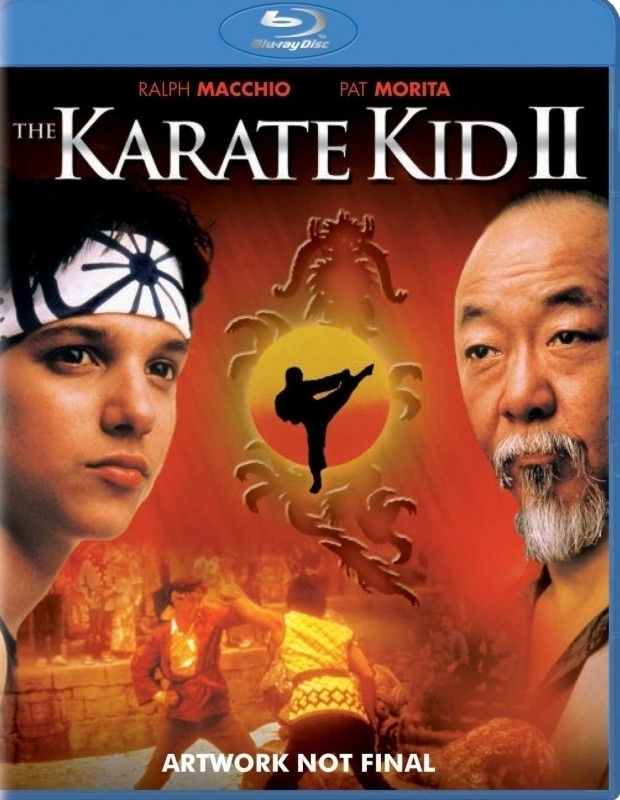 Image of The Karate Kid 2