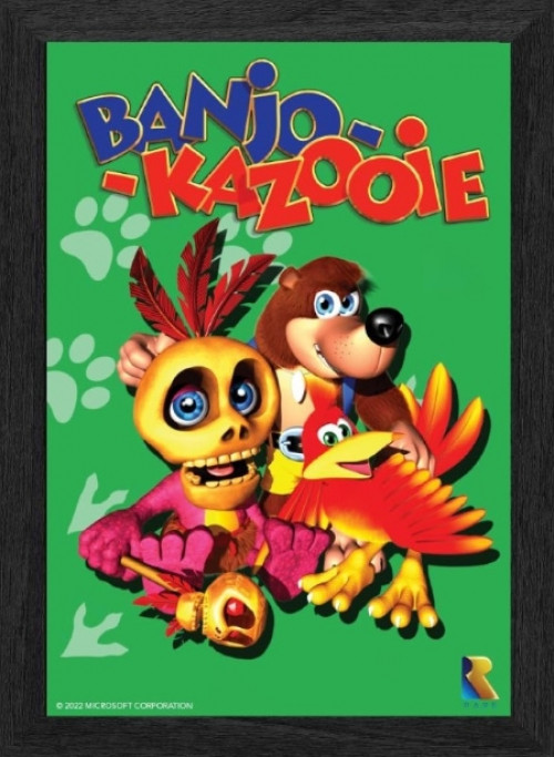 Pixel Frames Plax - Banjo-Kazooie (30cm x 25cm) afbeelding