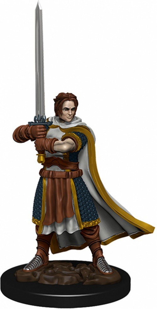 Dungeons & Dragons Icons of the Realms - Human Cleric Male