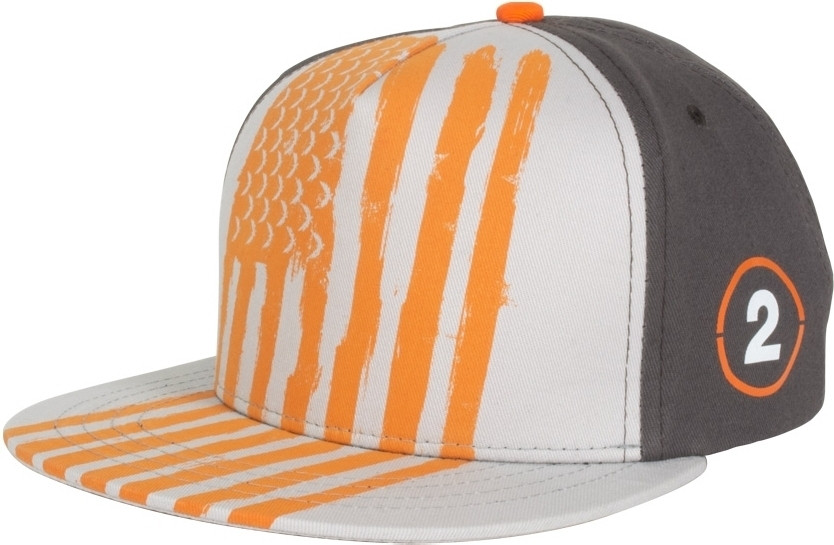 Numskull The Division 2 Flag Snapback numskull kopen in de aanbieding