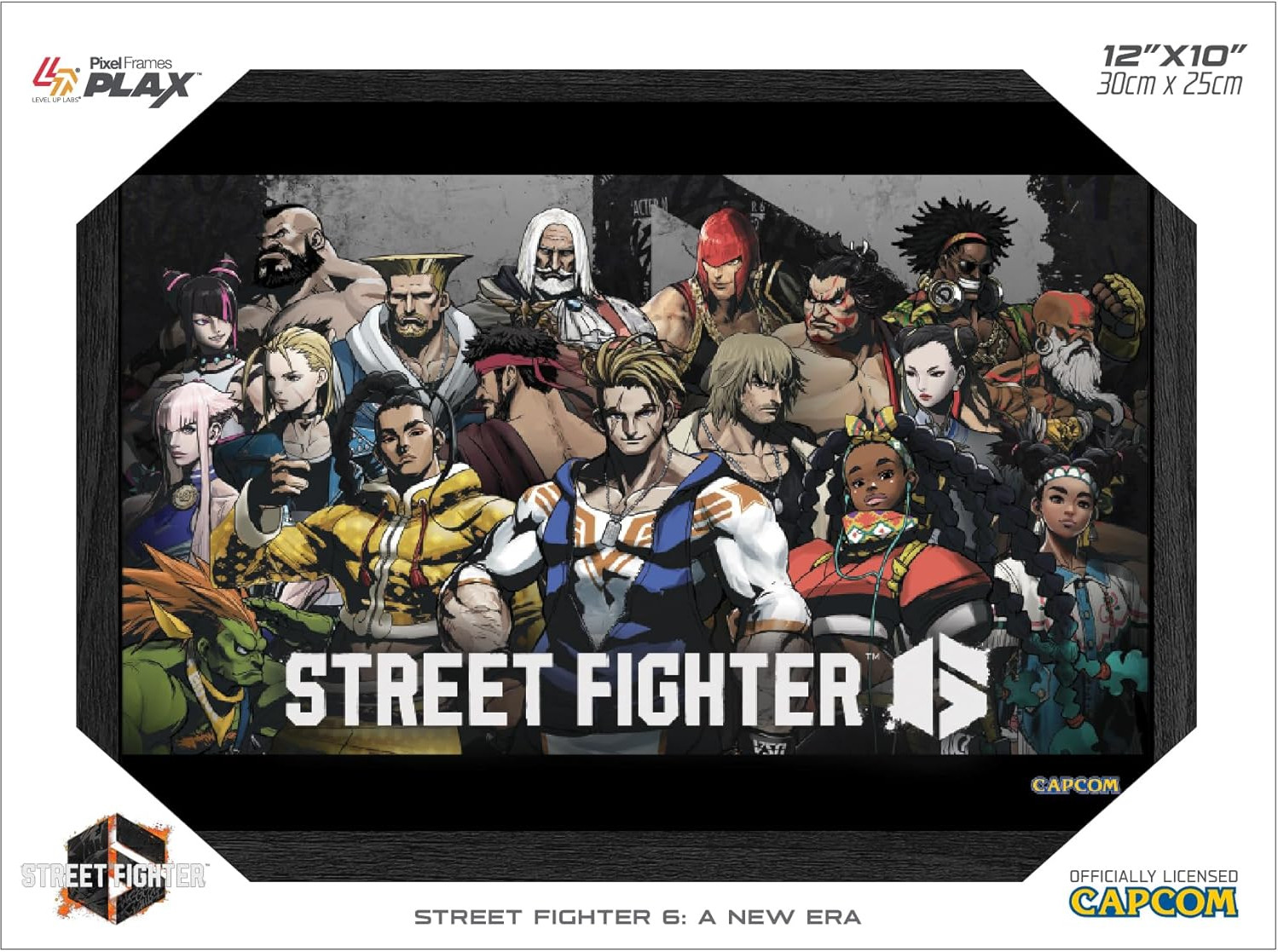 Pixel Frames Plax - Street Fighter 6: A New Era (30cm x 25cm) afbeelding