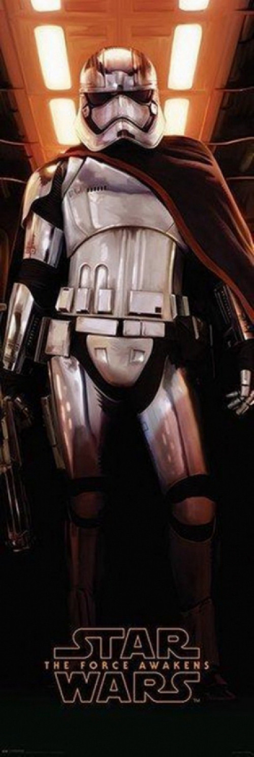 Star Wars Poster - Star Wars Episode VII Captain (53cm x 158cm)