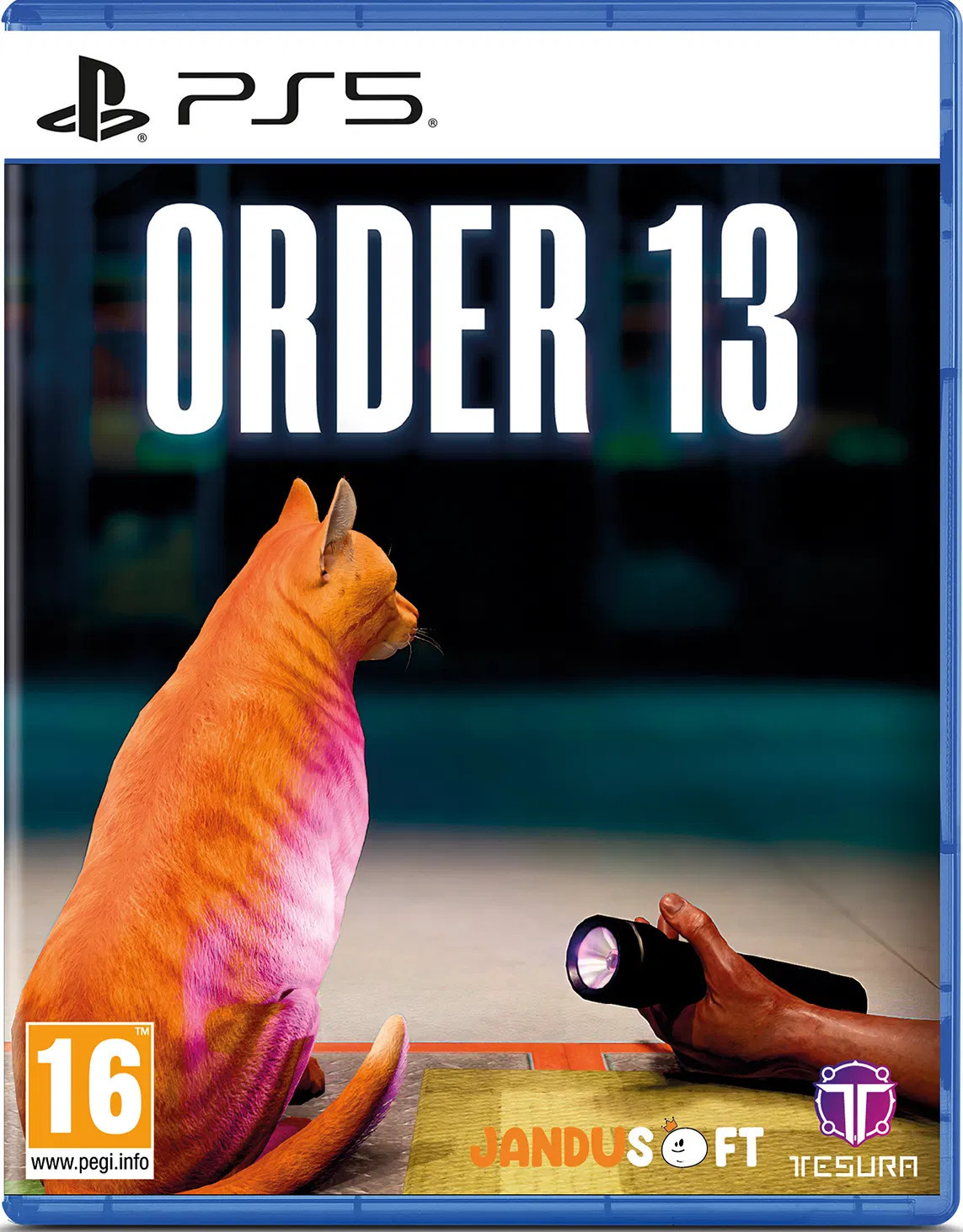 Tesura Order 13