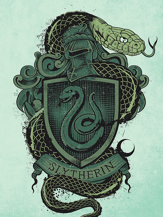 Harry Potter Canvas - Slytherin (80x60cm)