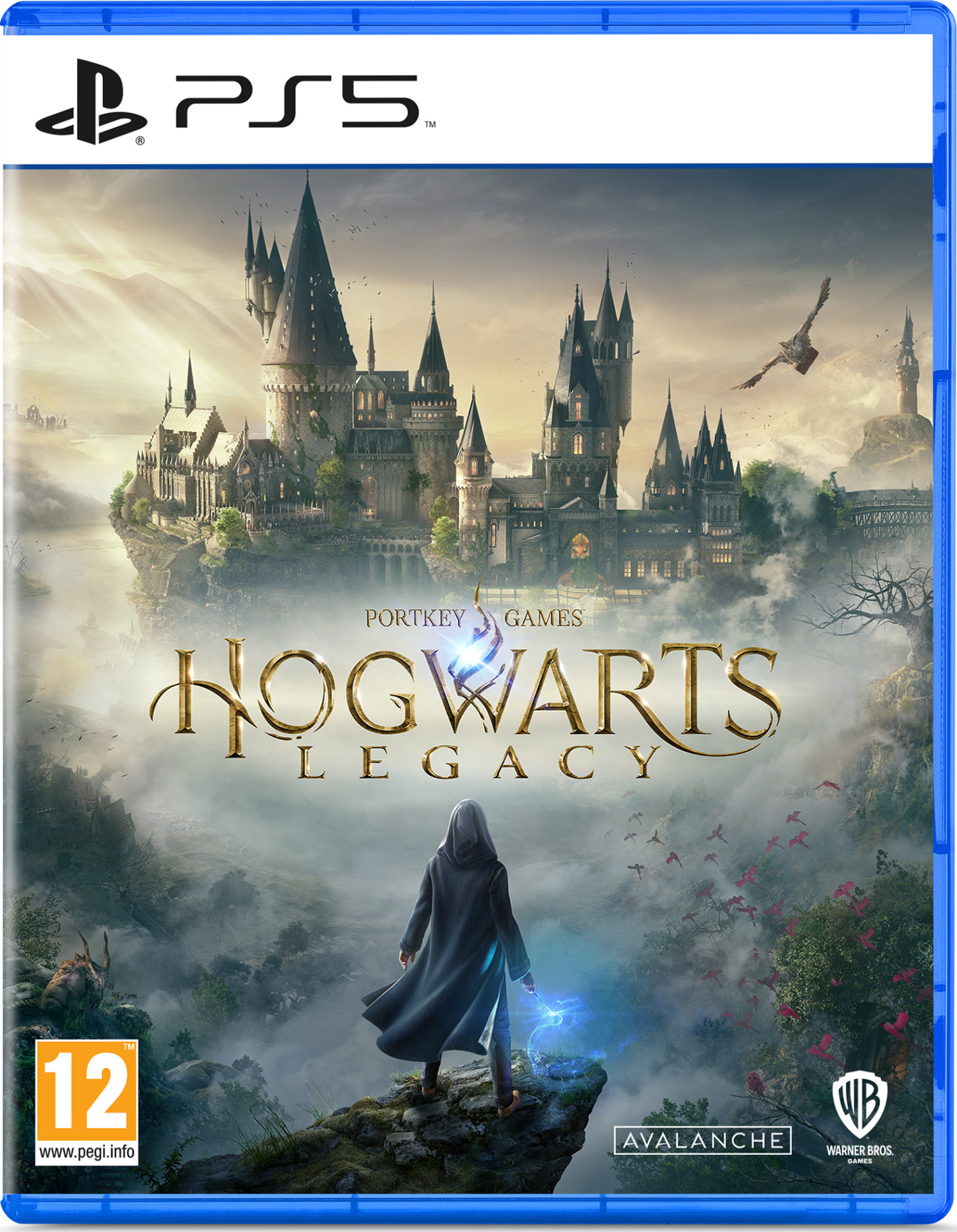 Warner Bros Hogwarts Legacy (verpakking Italiaans, game Engels)