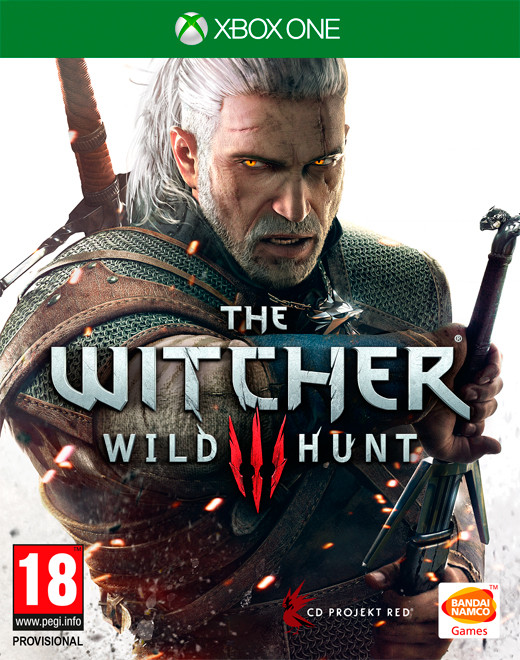 Bandai Namco The Witcher 3 Wild Hunt (verpakking Frans, game Engels)