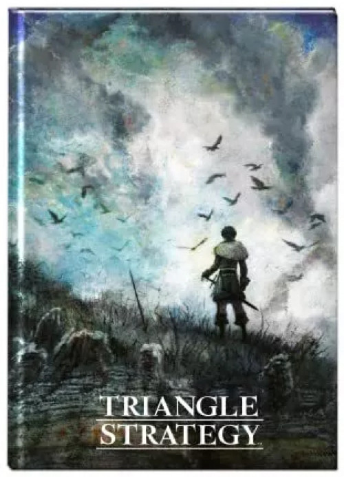 Triangle Strategy Notebook