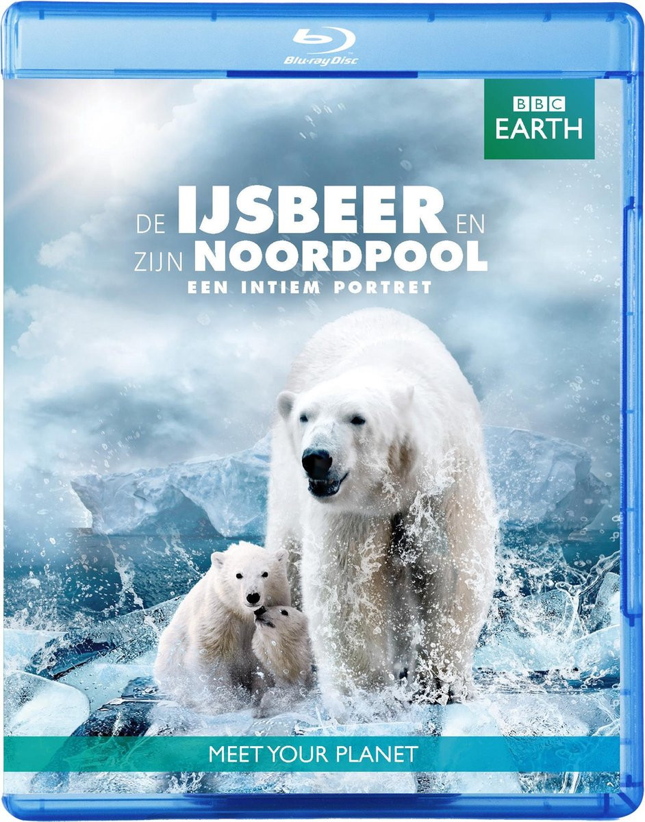 De Ijsbeer en zijn Noordpool afbeelding