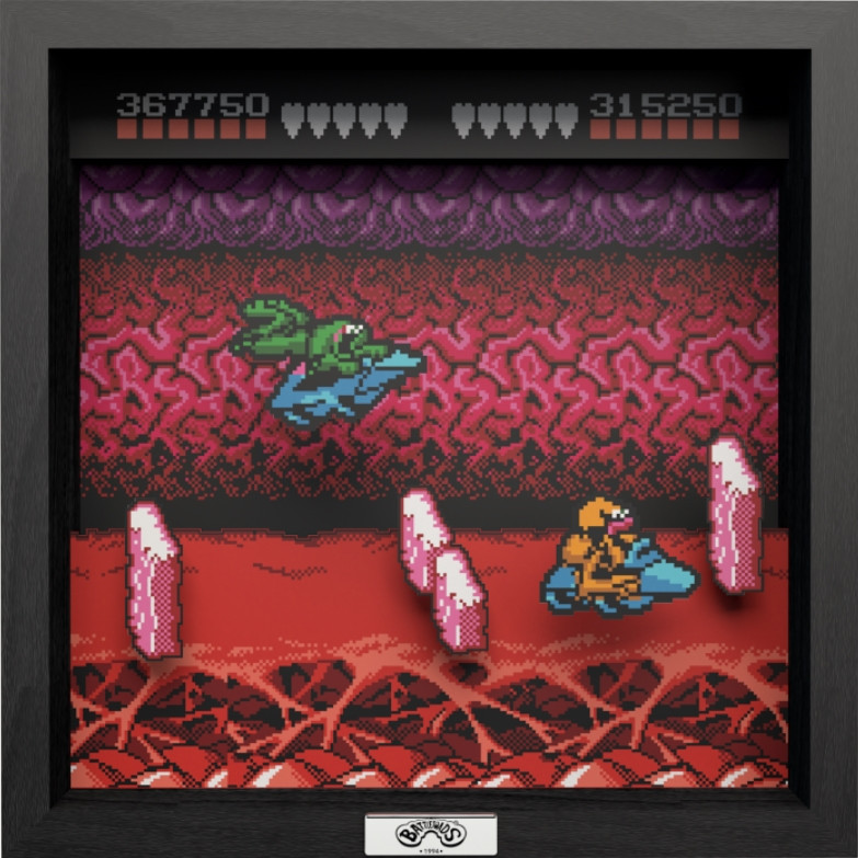 Pixel Frame - Battletoads - NES Turbo Tunnel (23cm x 23cm) afbeelding