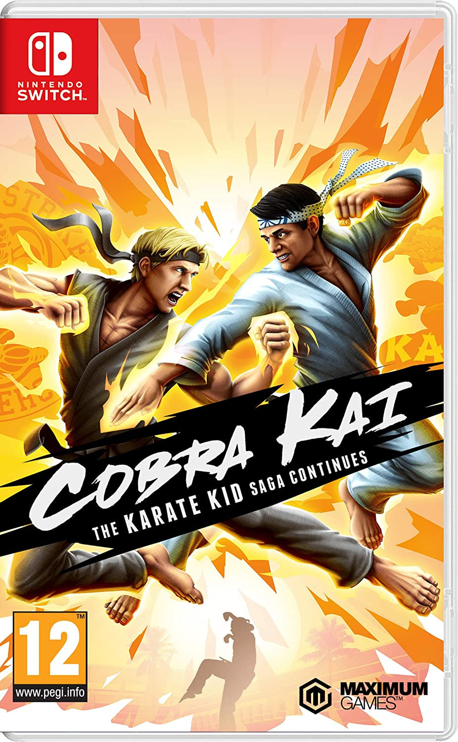 Cobra Kai the Karate Kid Saga Continues