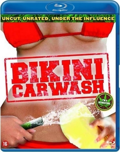 Image of Bikini Carwash
