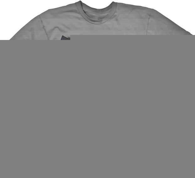 Dragon Age: Inquisition T-Shirt Grey Warden