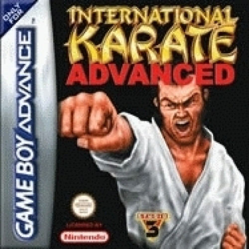 Image of International Karate Advanced