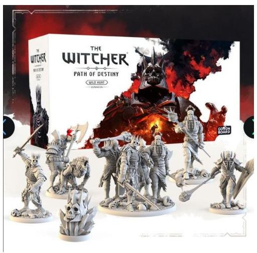 The Witcher - Path of Destiny - Wild Hunt afbeelding