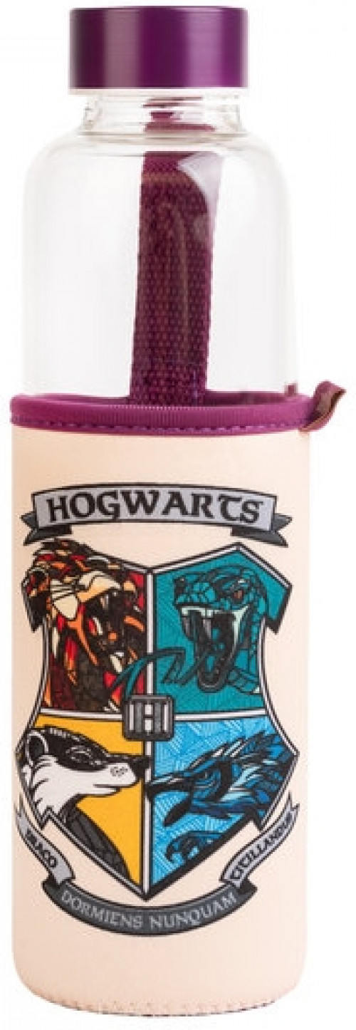 Harry Potter - Glass Drinking Bottle