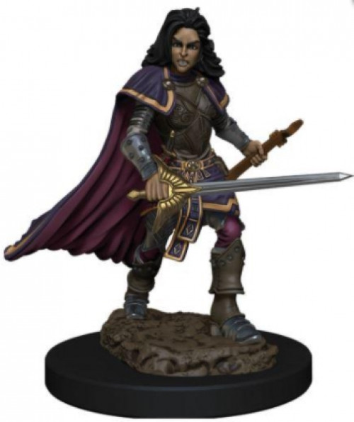 Pathfinder Battles - Female Human Bard Premium Figure