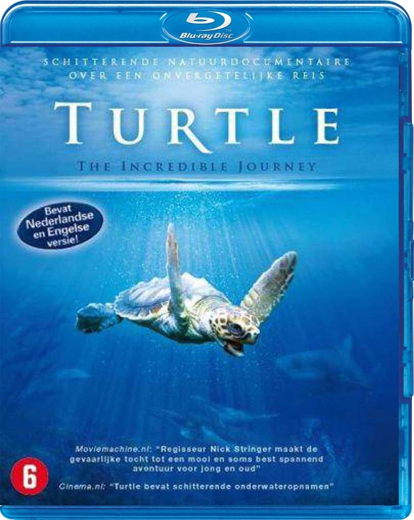 Turtle the Incredible Journey
