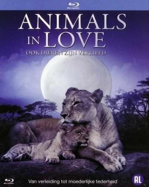 Image of Animals in Love
