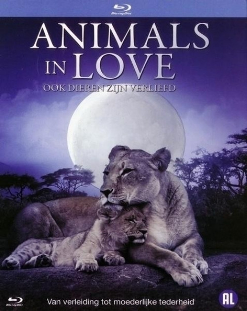 Animals in Love