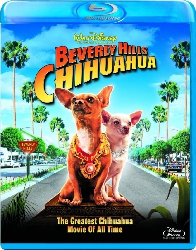 Image of Beverly Hills Chihuahua (Blu-ray + DVD)