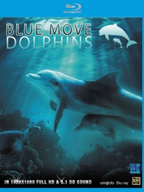 Image of Blue Move Dolphins
