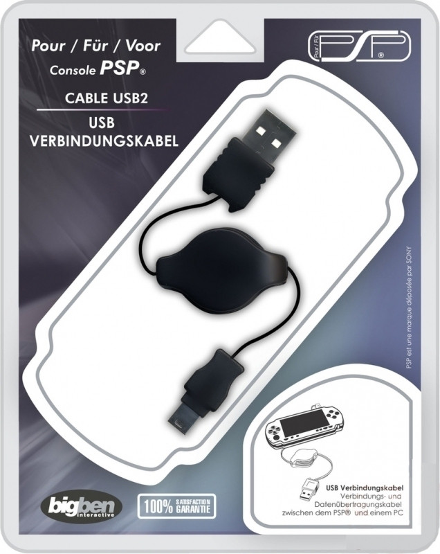 Image of Big Ben USB 2.0 Cable (PSPUSB2)