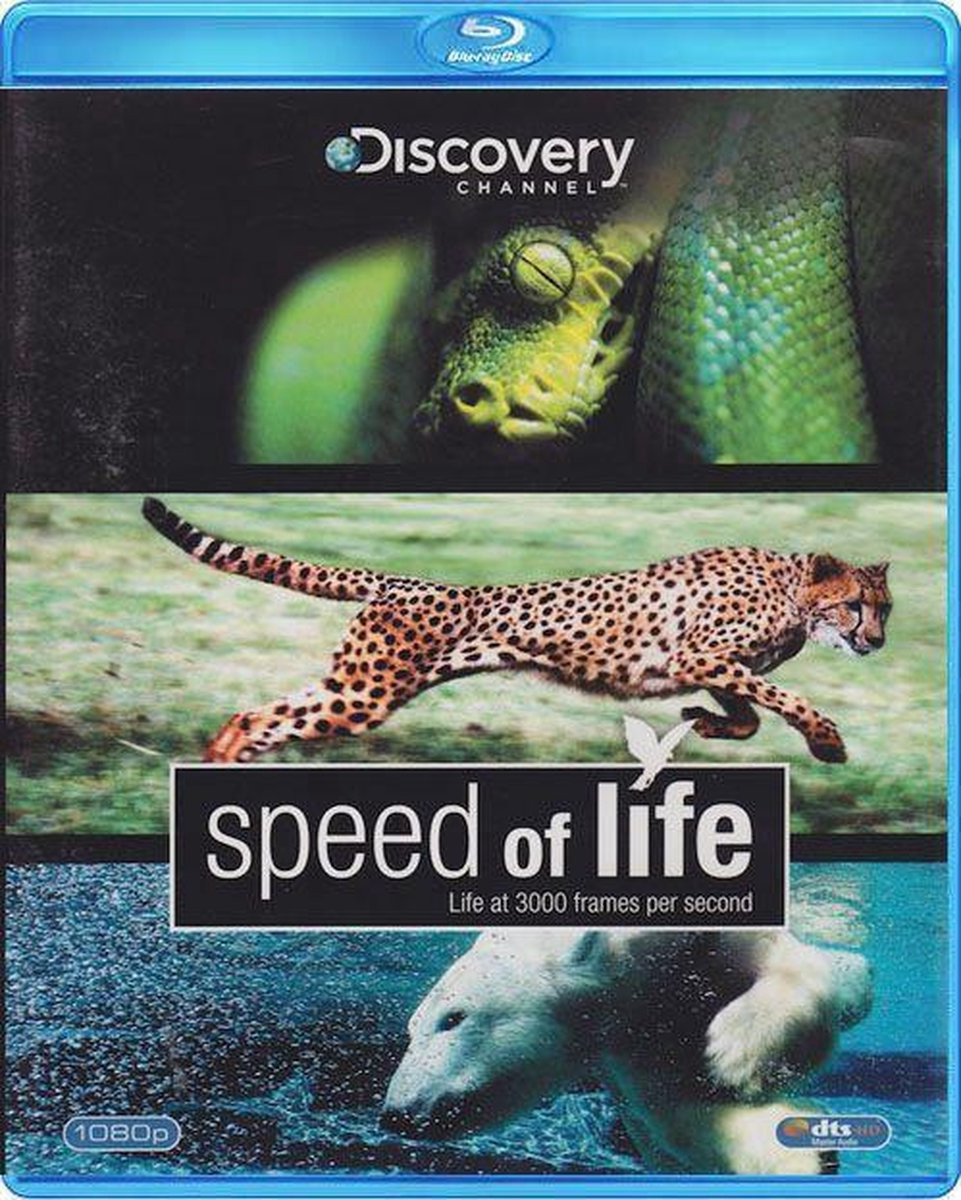 Speed of Life
