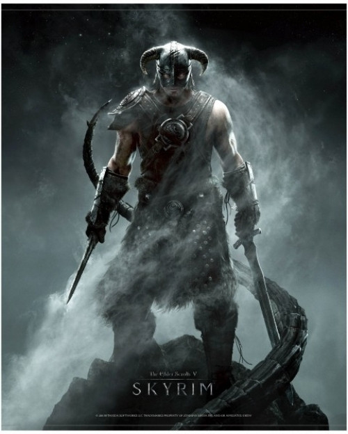 Gaya Entertainment Skyrim Wallscroll Dragonborn gaya entertainment kopen in de aanbieding