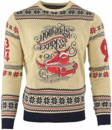 Harry Potter - Hogwarts Express Christmas Sweater voor de Kleding kopen op nedgame.nl