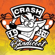 Crash Bandicoot Canvas - 1996 (40x40cm) voor de Merchandise kopen op nedgame.nl