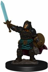 Dungeons & Dragons Icons of the Realms - Dwarf Paladin Female voor de Merchandise kopen op nedgame.nl