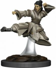 Dungeons & Dragons Icons of the Realms - Female Human Monk Premium Figure voor de Merchandise kopen op nedgame.nl