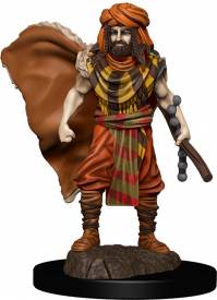 Dungeons & Dragons Icons of the Realms - Human Druid Male voor de Merchandise kopen op nedgame.nl