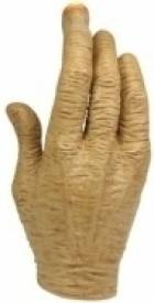 E.T. Replica Hand with LED Lights voor de Merchandise kopen op nedgame.nl
