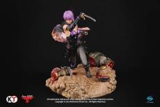 Ninja Gaiden 3: Ayane 1:6 Scale Statue voor de Merchandise kopen op nedgame.nl