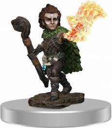 Pathfinder Battles: Male Gnome Druid Premium Painted Figure voor de Merchandise kopen op nedgame.nl