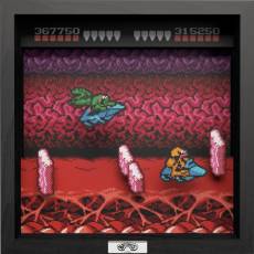 Pixel Frame - Battletoads - NES Turbo Tunnel (23cm x 23cm) voor de Merchandise kopen op nedgame.nl