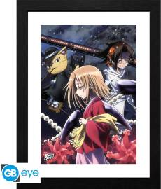 Shaman King Framed Print - Osore Mount voor de Merchandise kopen op nedgame.nl