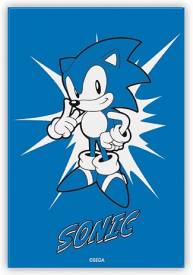 Sonic Magneet -  Sonic voor de Merchandise kopen op nedgame.nl
