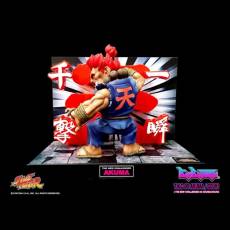 Street Fighter: Akuma T.N.C-00 voor de Merchandise kopen op nedgame.nl