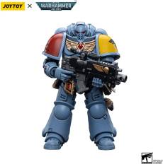 Warhammer 40K Action Figure - Wolves Intercessors voor de Merchandise preorder plaatsen op nedgame.nl