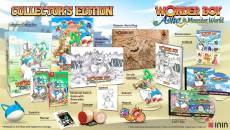 Wonder Boy Asha in Monster World Collector's Edition voor de Nintendo Switch kopen op nedgame.nl